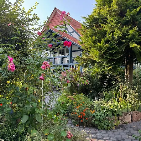 Apartament Paradise Garden *